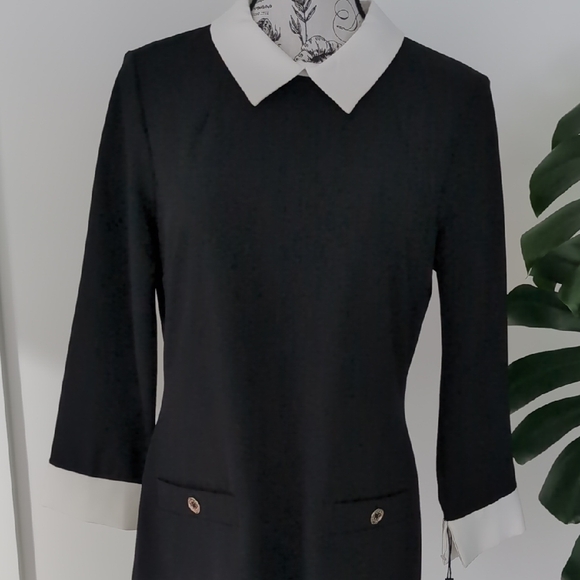 Elegant Black and White Women's Dress - Picture 2 of 7